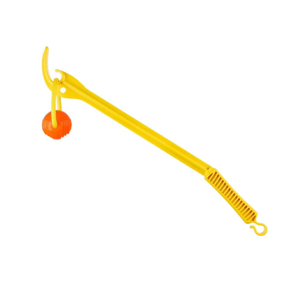 Project Hive Looped Ball