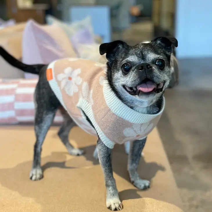 Daydreamin' Sweater