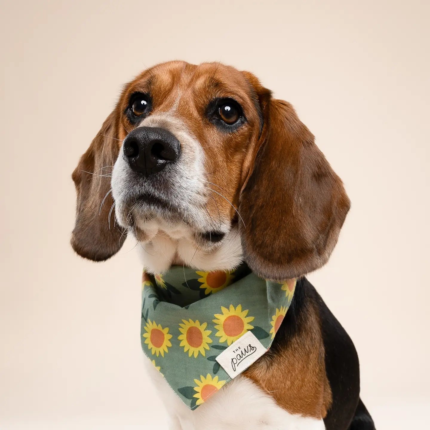 Cromwell Fall Bandana