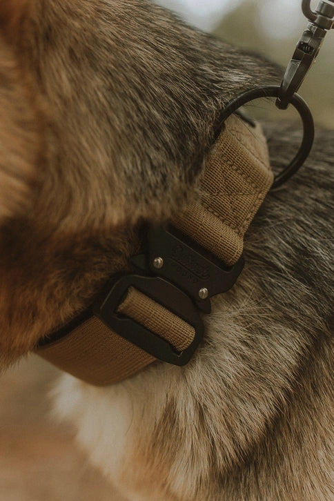 Outback Hound Tan Premium Dog Collar