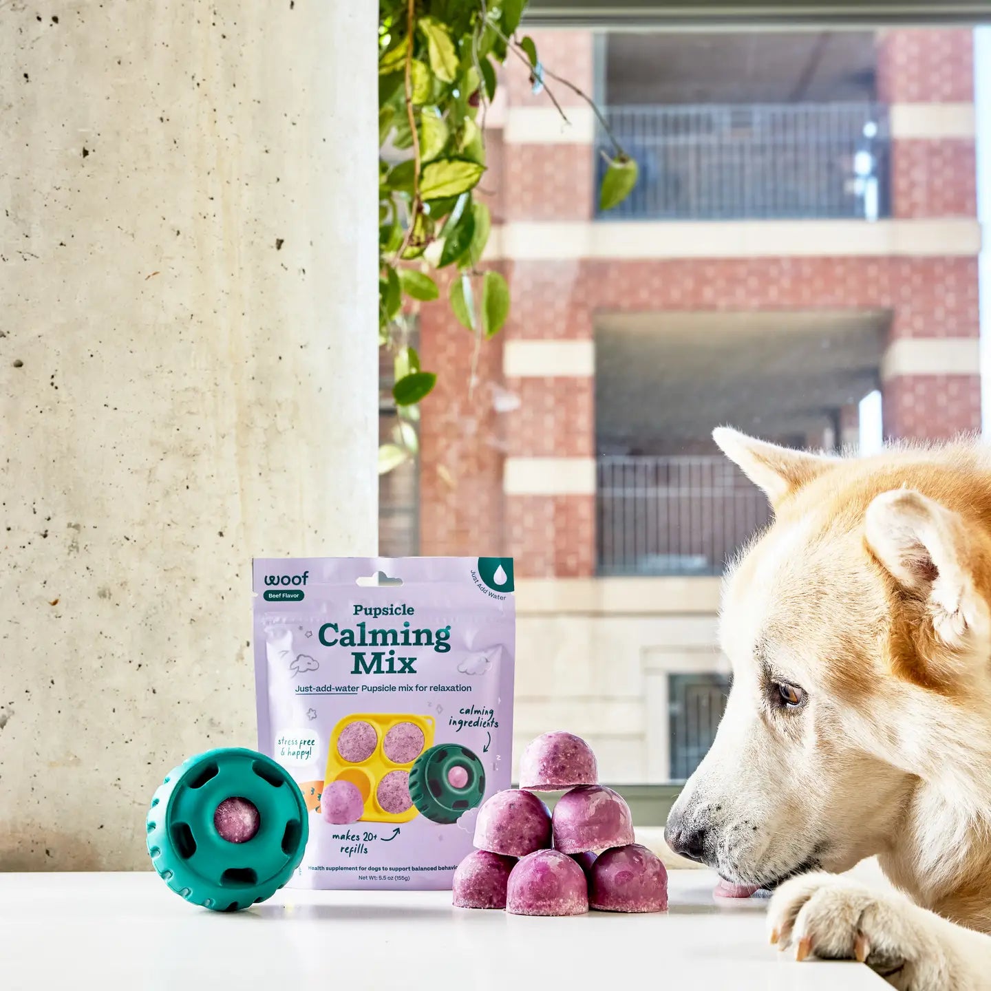 Woof Pupsicle Treat Mix-Calming