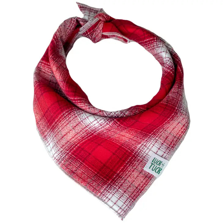 Wiley Dog Bandana