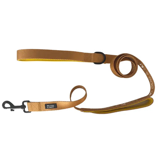 Mango Traffic Lead Leash by Big Dog & Skippy