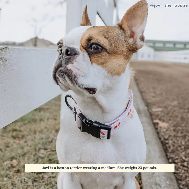 Cheery Cherries Collar | Lucy & Co