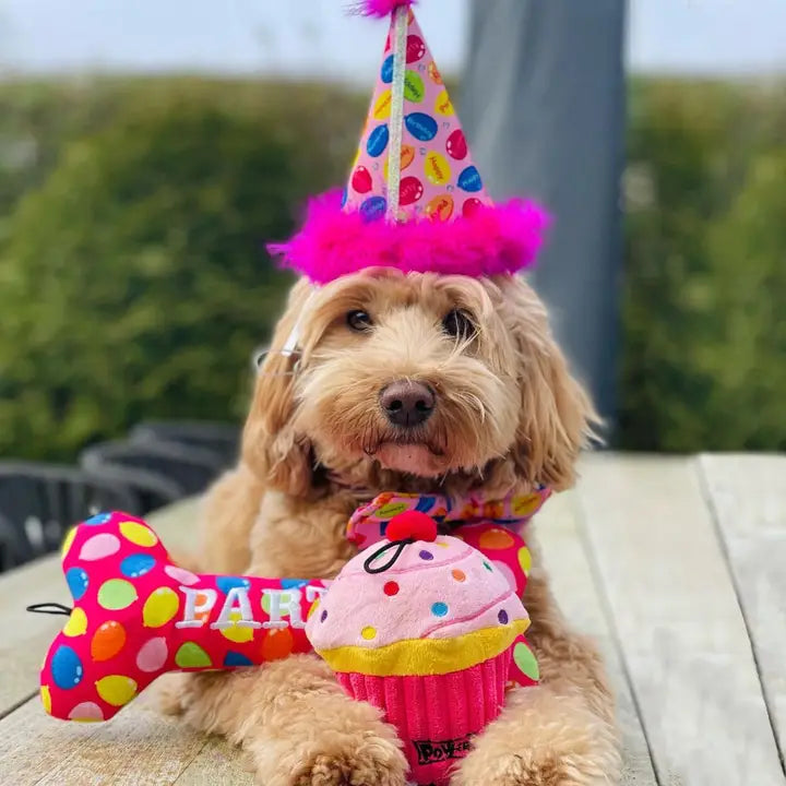Party Time Pink Plush Bone