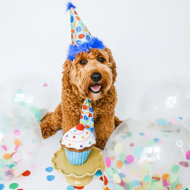 Blue Party Time Party Hat | Huxley & Kent