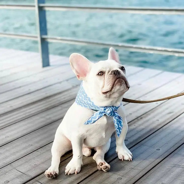 Perfect Wave Bandana