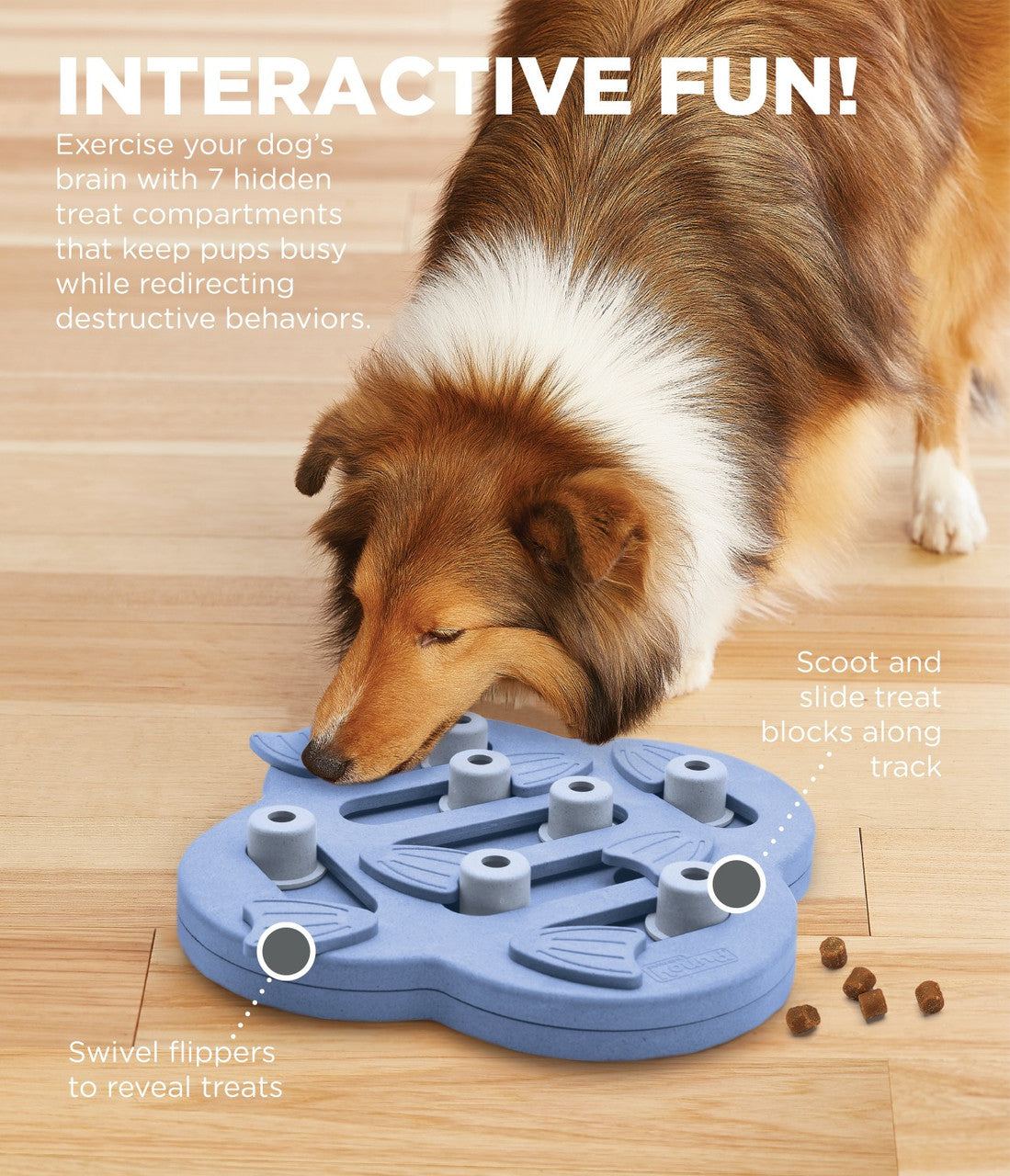 Hide N' Slide Puzzle Toy | Outward Hound