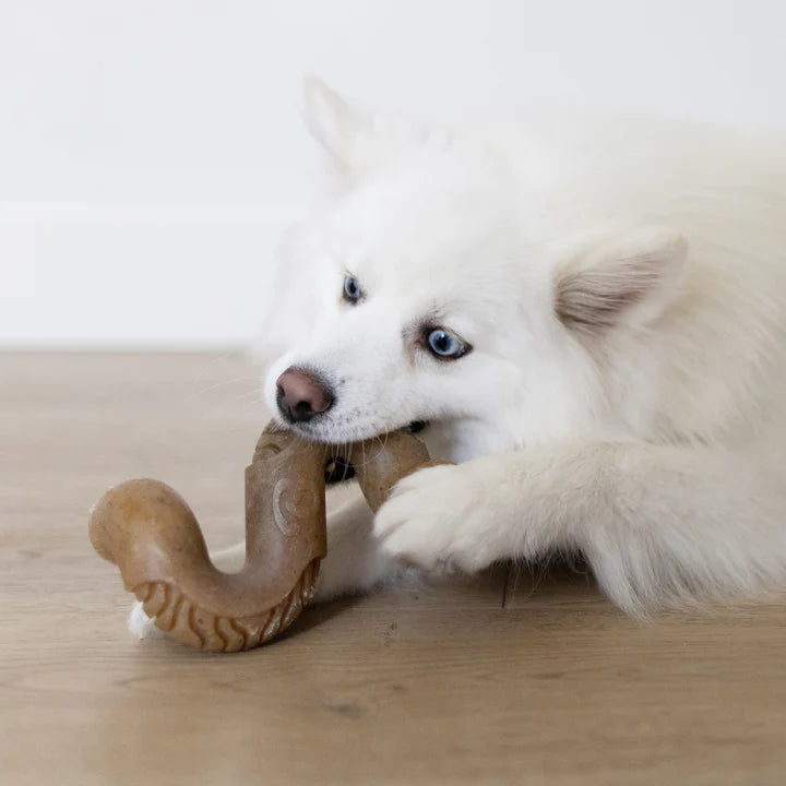 Benebone Tripe Bone