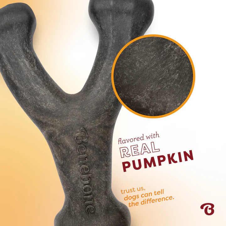Benebone Pumpkin Spice Wishbone