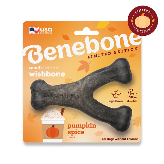 Benebone Pumpkin Spice Wishbone