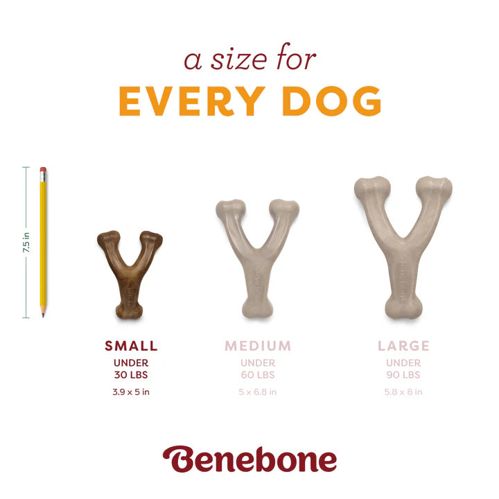 Benebone Pumpkin Spice Wishbone