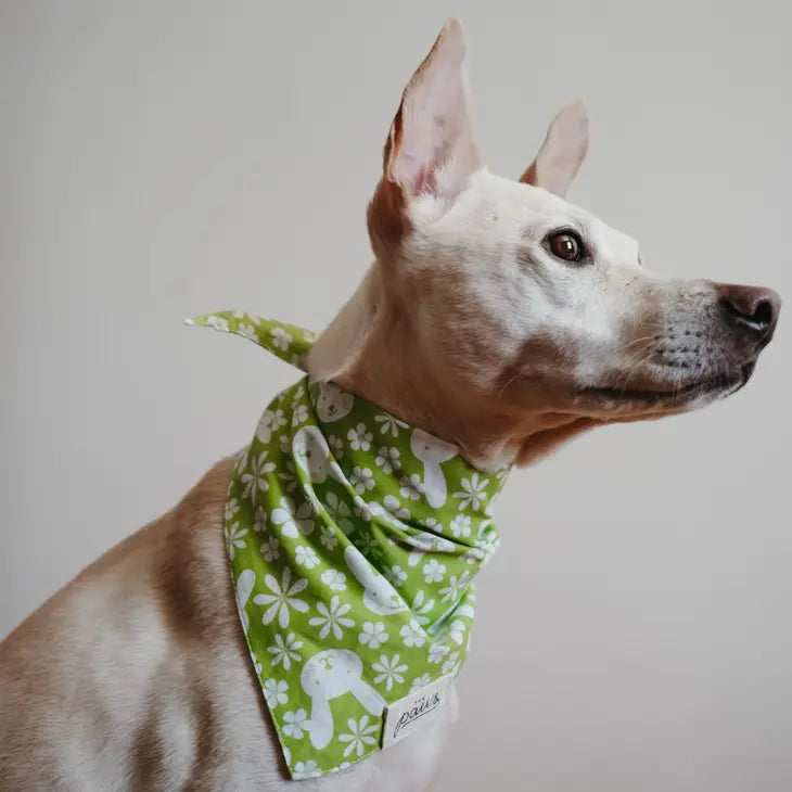 Skippy Bandana