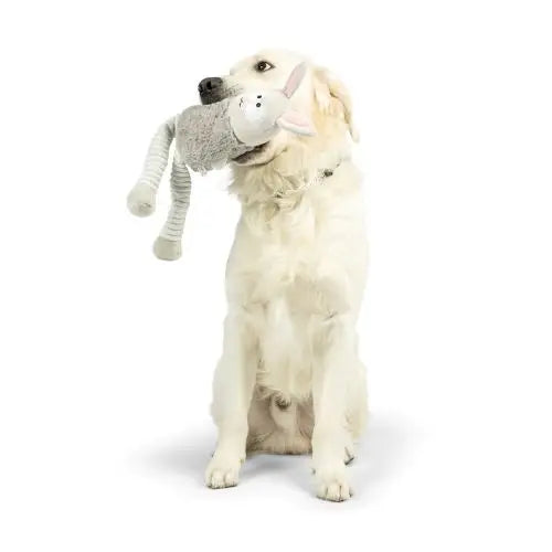 Lankies Binky Bunny Dog Toy