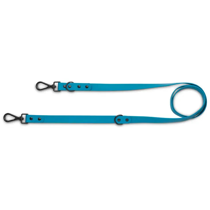 Blue Biothane Leash