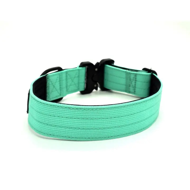 Outback Hound Mint Green Premium Dog Collar
