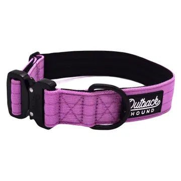 Outback Hound Lilac Premium Dog Collar