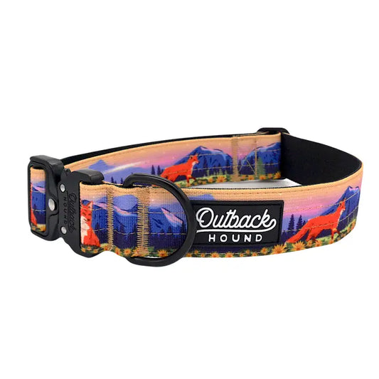 Outback Hound Spring Fox Dog Collar