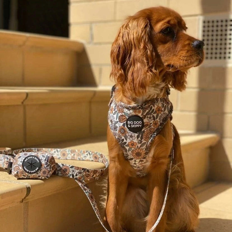Flower Power Harness by Big Dog & Skippy
