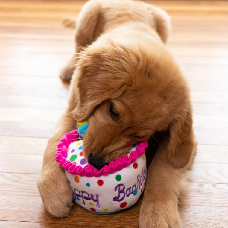 "Happy Barkday" Plush Cake For Dogs