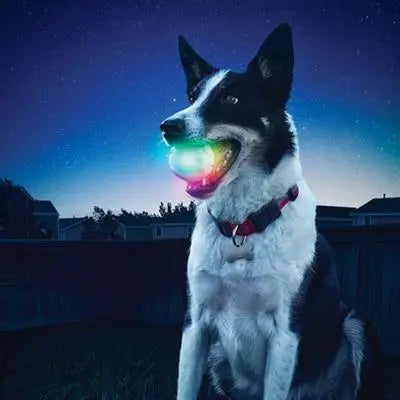 Nite Ize Glowstreak LED Ball