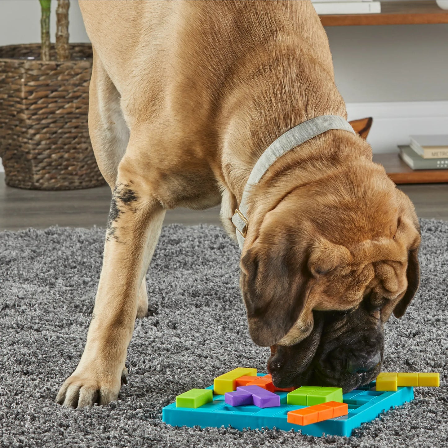 BRIGHTKINS Brain Teaser Treat Puzzle