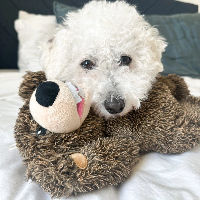 Grizzly Bear Rope Body Dog Toy | Tall Tails