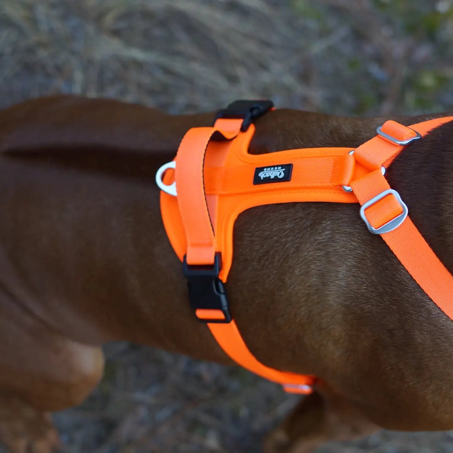 UPGRADED Outback Hound Hunter Orange - Ultra Lite Comfort Harness