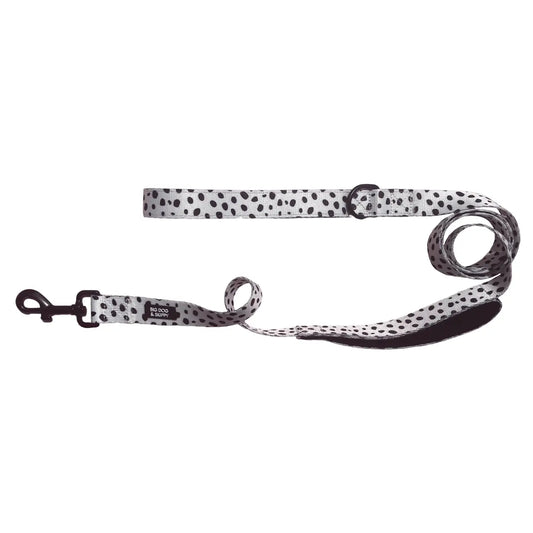 Lots of Spots Traffic Lead Leash by Big Dog & Skippy
