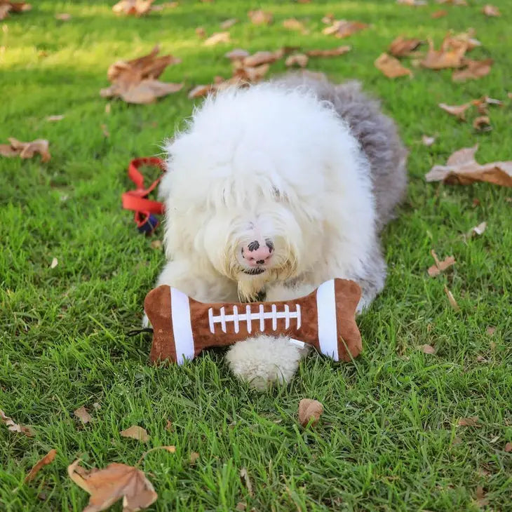 Power Plush Football Bone