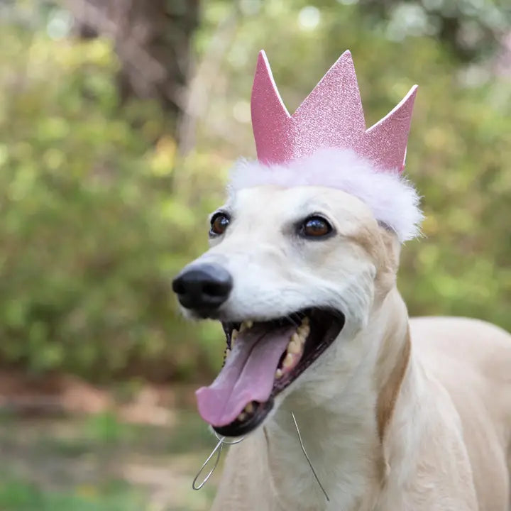 Pink Party Crown | Huxley & Kent