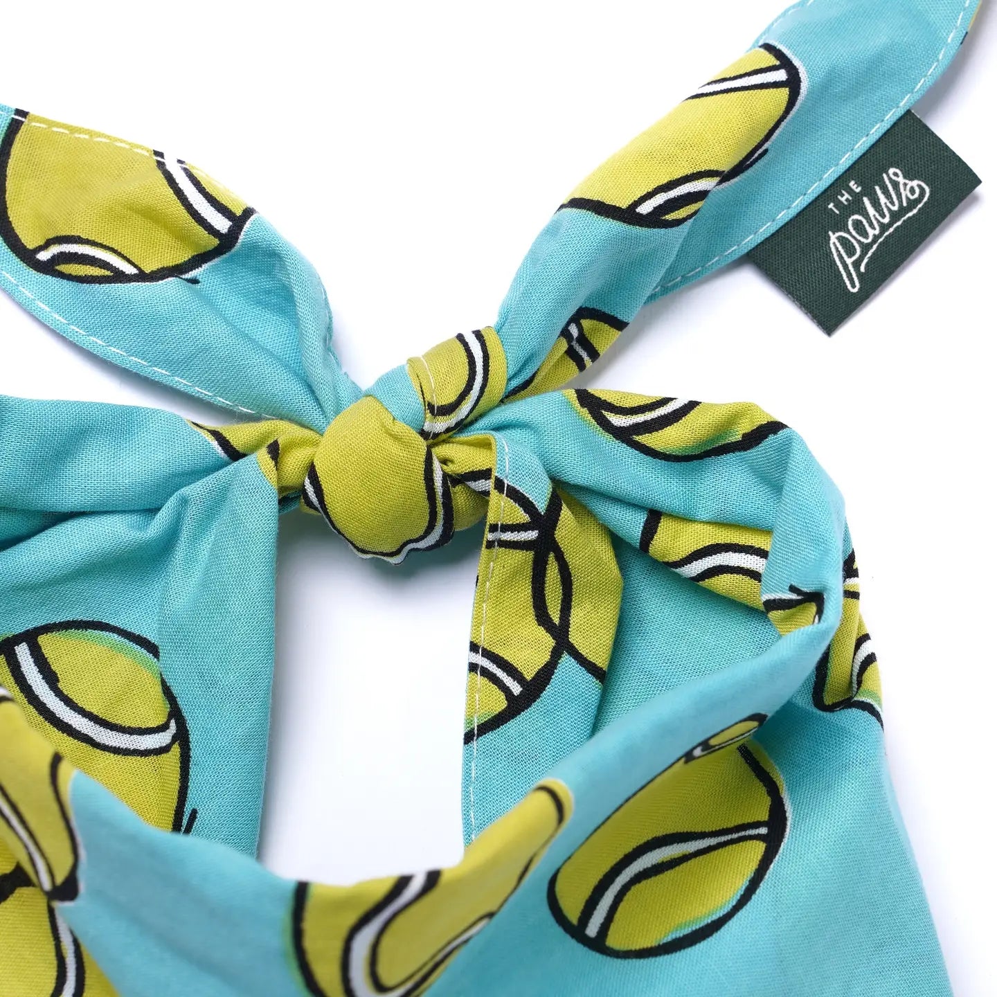 Fetch Bandana
