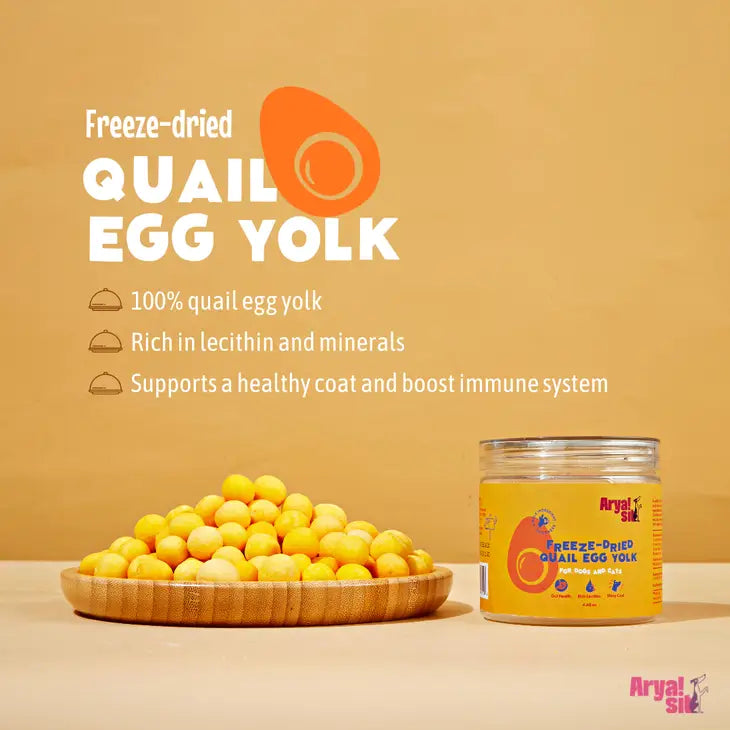 Freeze Dried Quail Egg Yolk | Arya Sit