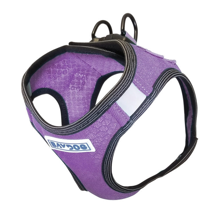 Lavender Liberty Bay Dog Harness