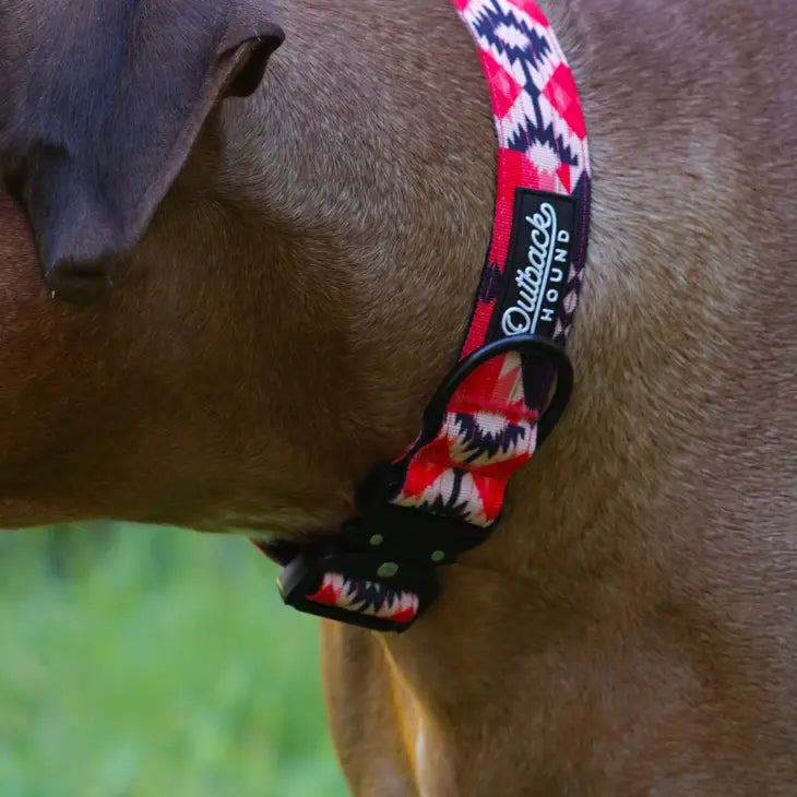 Outback Hound Aztec Trail Hound Collar