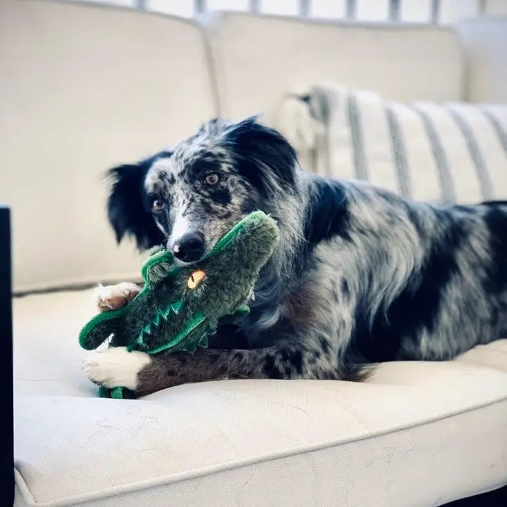2-in-1 Ruffian Gator Toy