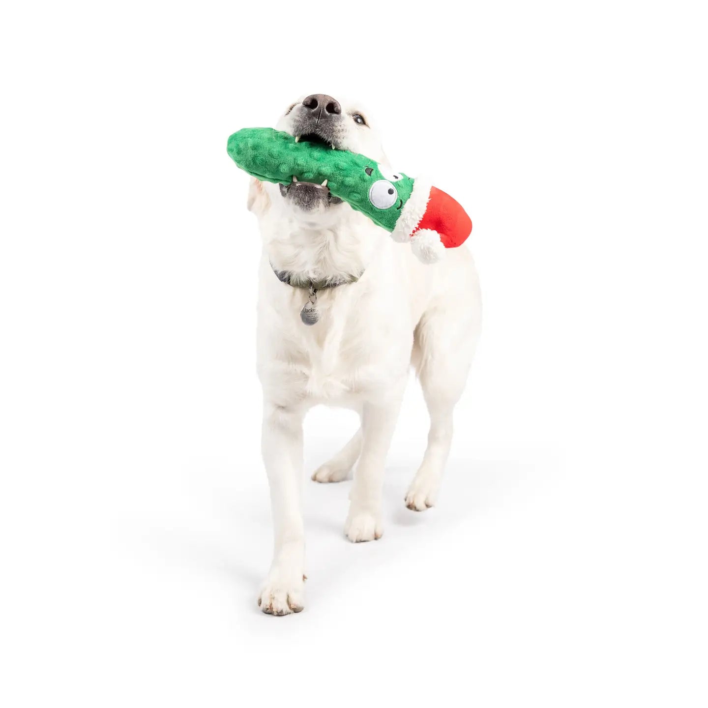 Fetchies® Dilly Claus Dog Toy