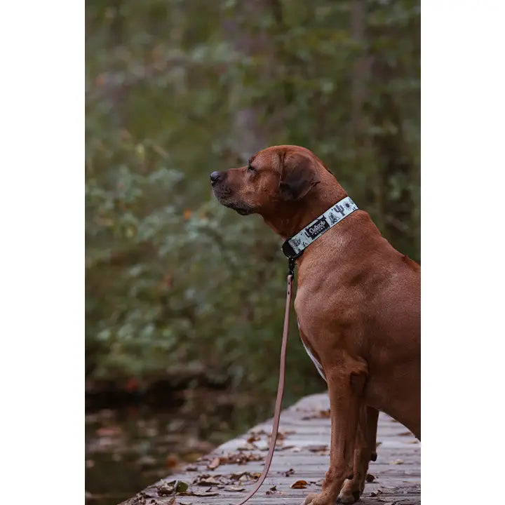 Outback Hound Agave Trail Collar