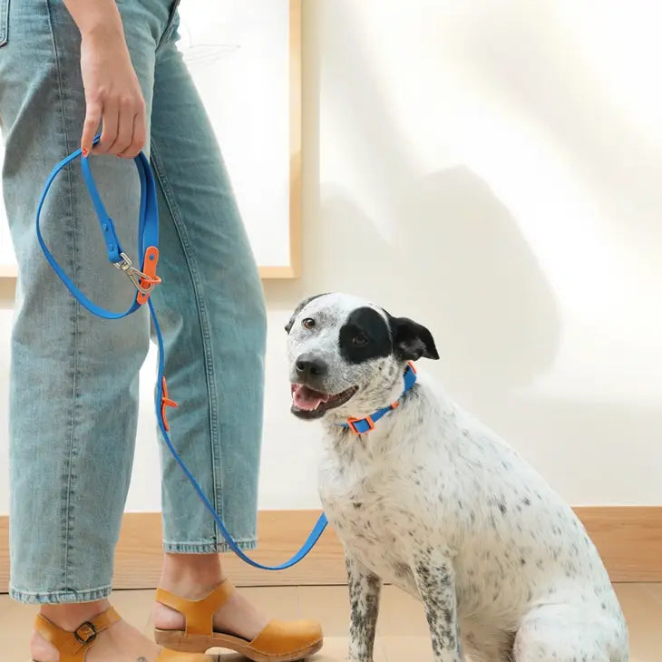 The Fritz Leash | Blue
