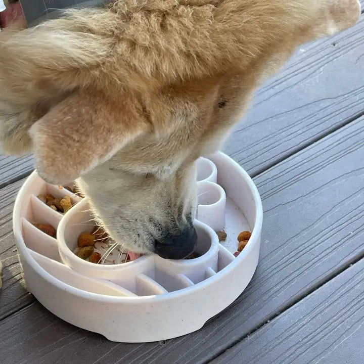 Soda Pup Java Cup Slow Feeder