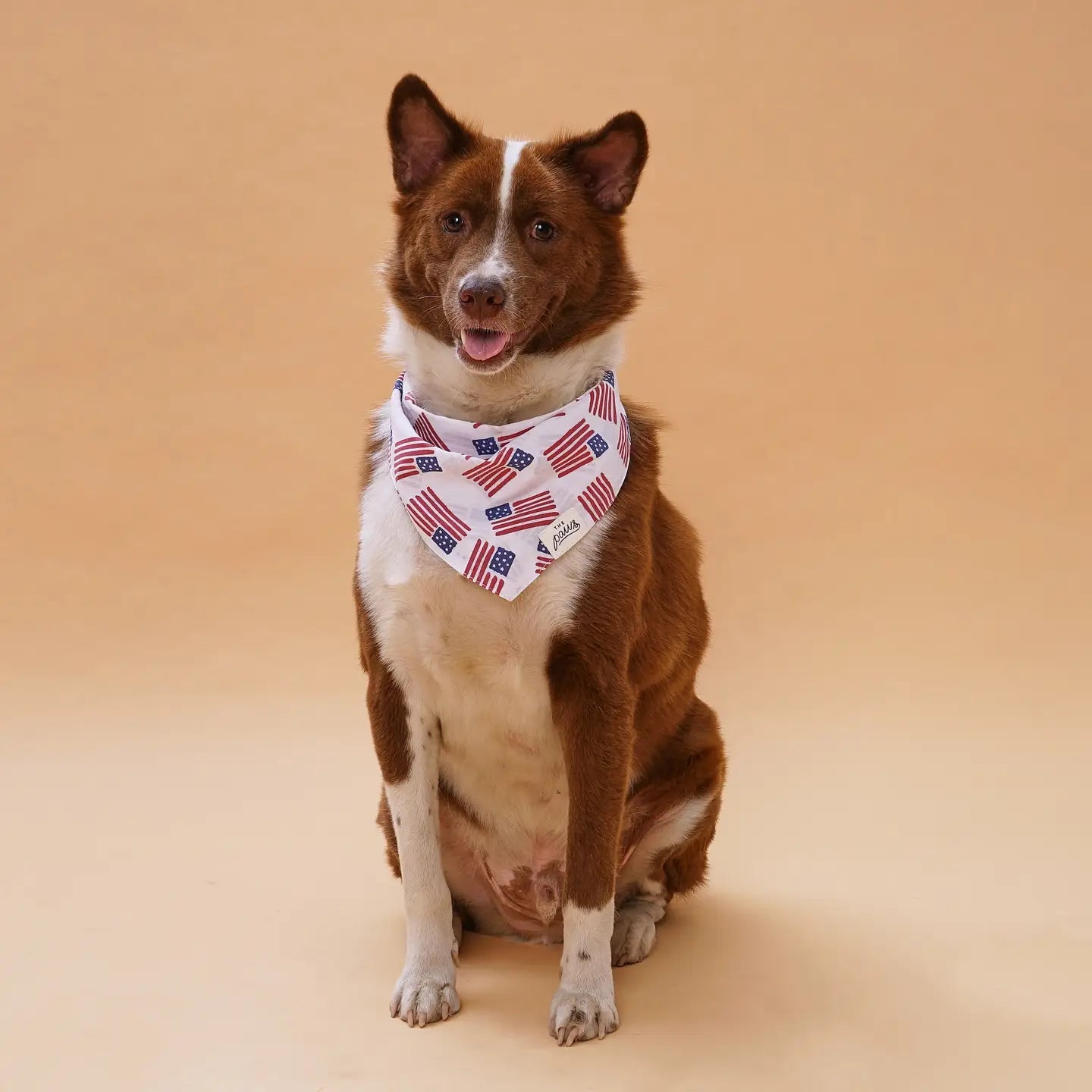 Patriotic Flag Bandana