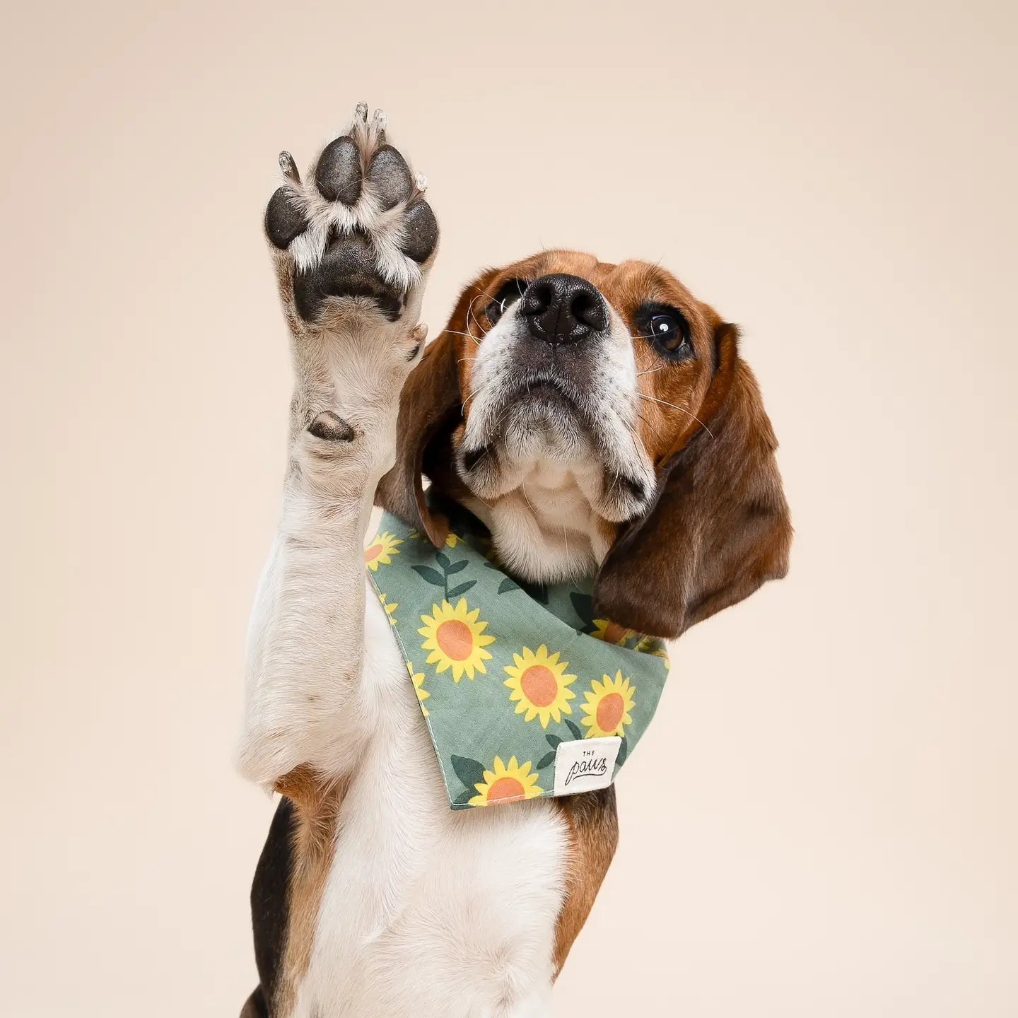 Cromwell Fall Bandana