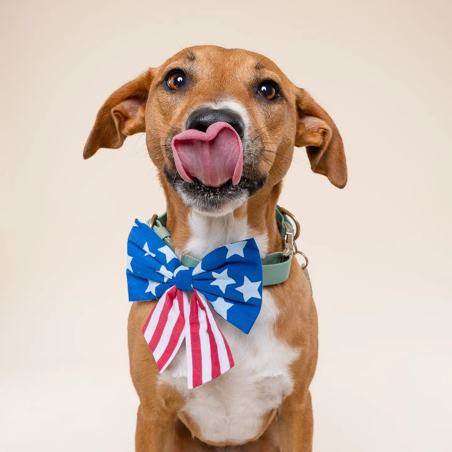 Patriotic Sailor Bow Tie