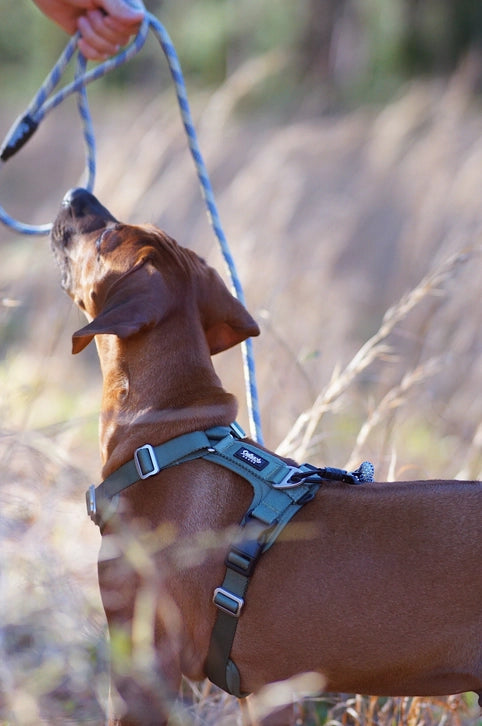 Outback Hound Ultra Lite Ranger Green Comfort Harness