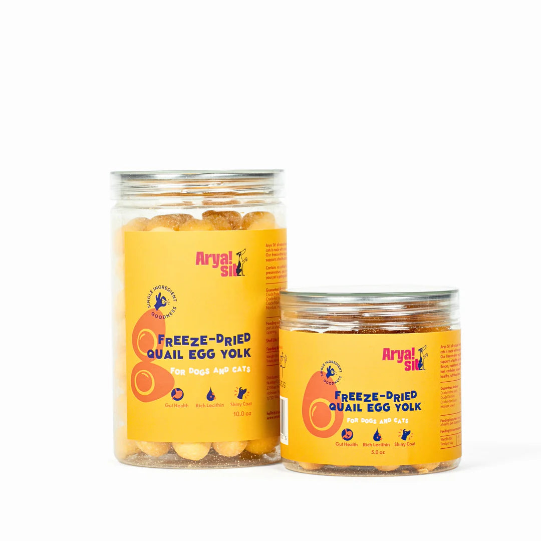 Freeze Dried Quail Egg Yolk | Arya Sit