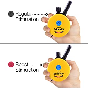 Mini Educator E-Collar