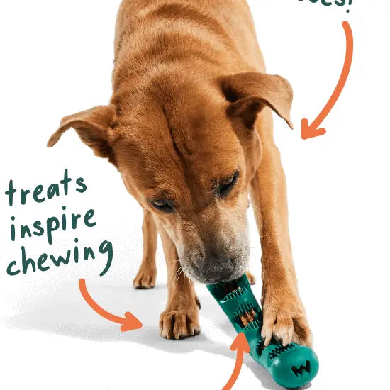 Woof Bite N' Brush