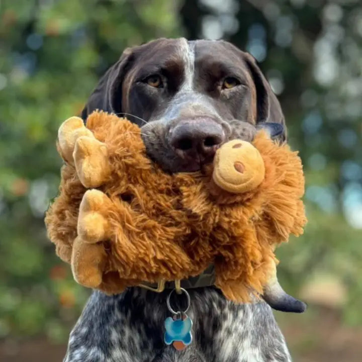 Highland Cow Dog Toy | Tall Tails