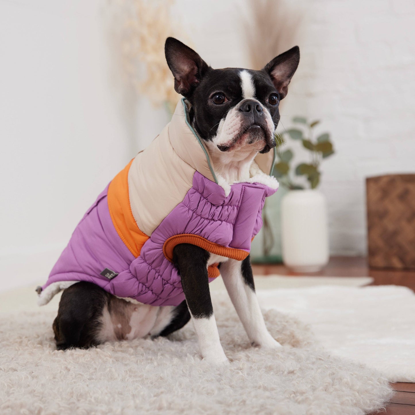 Purple GF Pet Camplife Puffer Coat