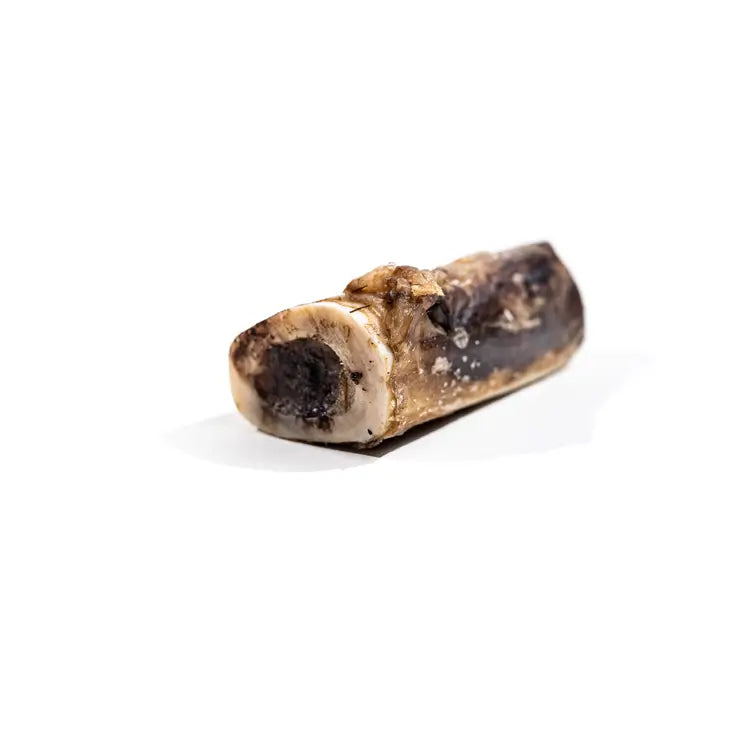 Bison Marrow Bone